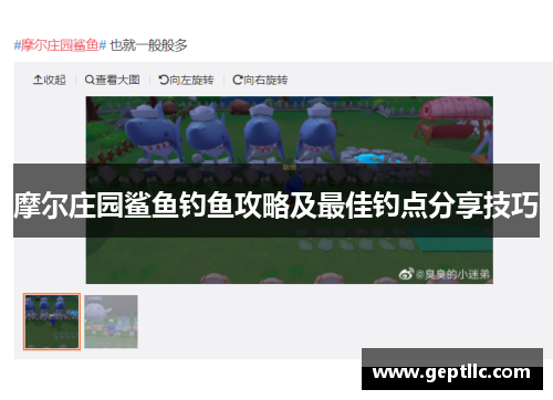 摩尔庄园鲨鱼钓鱼攻略及最佳钓点分享技巧 摩尔庄园鲨鱼钓鱼攻略及最佳钓点分享技巧